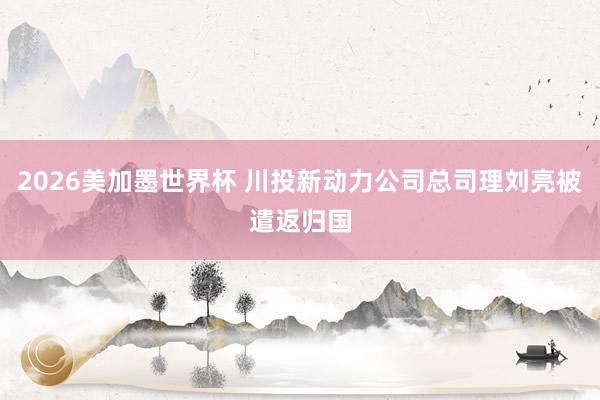 2026美加墨世界杯 川投新动力公司总司理刘亮被遣返归国