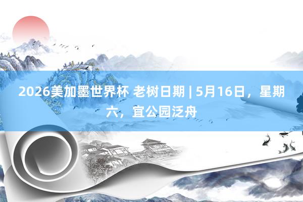 2026美加墨世界杯 老树日期 | 5月16日，星期六，宜公园泛舟