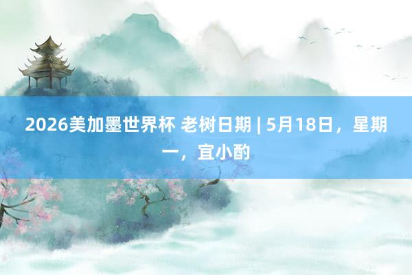 2026美加墨世界杯 老树日期 | 5月18日，星期一，宜小酌