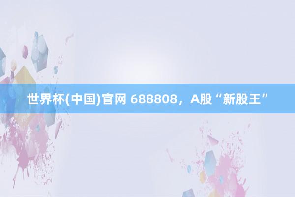 世界杯(中国)官网 688808，A股“新股王”