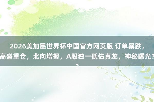 2026美加墨世界杯中国官方网页版 订单暴跌，高盛重仓，北向增握，A股独一低估真龙，神秘曝光？