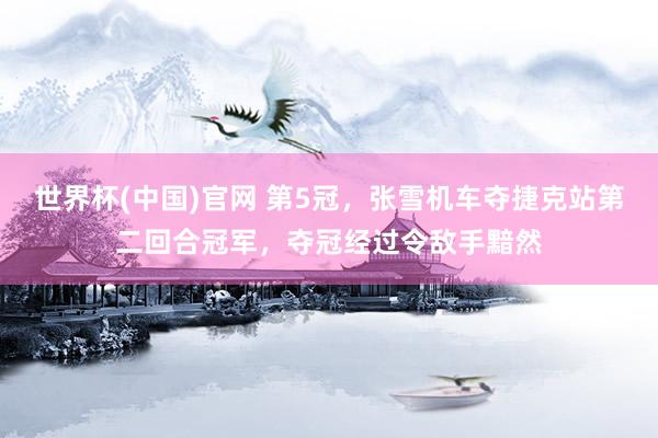 世界杯(中国)官网 第5冠，张雪机车夺捷克站第二回合冠军，夺冠经过令敌手黯然