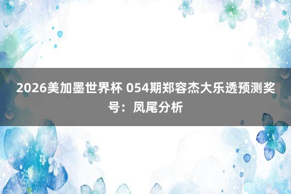 2026美加墨世界杯 054期郑容杰大乐透预测奖号：凤尾分析