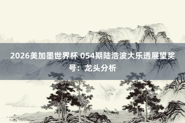 2026美加墨世界杯 054期陆浩波大乐透展望奖号：龙头分析