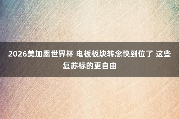 2026美加墨世界杯 电板板块转念快到位了 这些复苏标的更自由