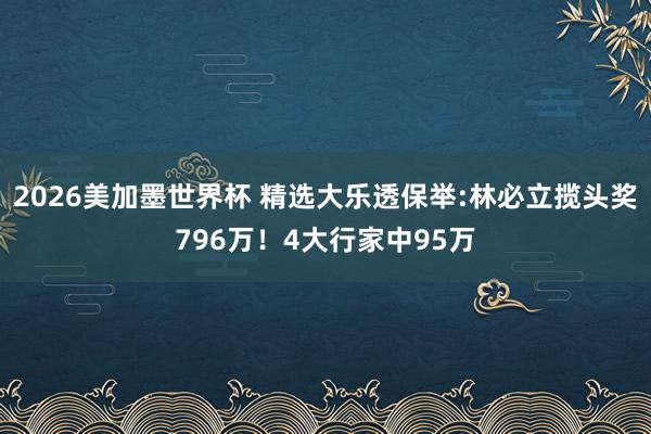 2026美加墨世界杯 精选大乐透保举:林必立揽头奖796万！4大行家中95万