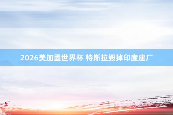 2026美加墨世界杯 特斯拉毁掉印度建厂