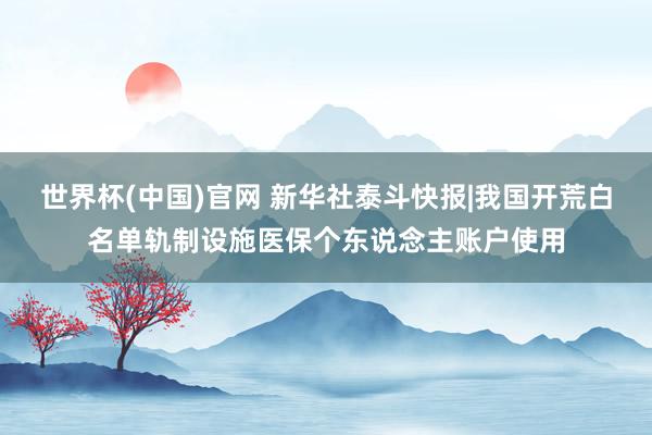 世界杯(中国)官网 新华社泰斗快报|我国开荒白名单轨制设施医保个东说念主账户使用