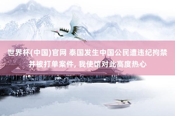 世界杯(中国)官网 泰国发生中国公民遭违纪拘禁并被打单案件， 我使馆对此高度热心