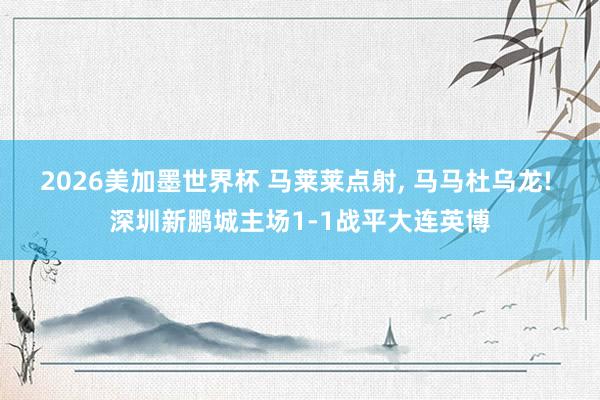 2026美加墨世界杯 马莱莱点射， 马马杜乌龙! 深圳新鹏城主场1-1战平大连英博