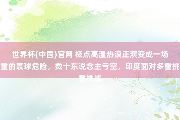世界杯(中国)官网 极点高温热浪正演变成一场严重的寰球危险，数十东说念主亏空，印度面对多重挑战