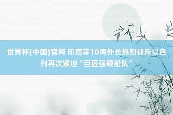 世界杯(中国)官网 印尼等10海外长热烈训斥以色列再次紧迫“巨匠强硬船队”