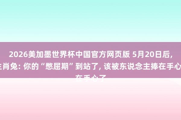 2026美加墨世界杯中国官方网页版 5月20日后， 生肖兔: 你的“憋屈期”到站了， 该被东说念主捧在手心了