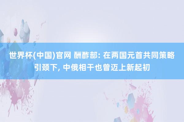 世界杯(中国)官网 酬酢部: 在两国元首共同策略引颈下， 中俄相干也曾迈上新起初