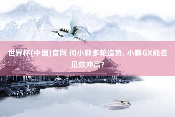 世界杯(中国)官网 何小鹏多轮造势， 小鹏GX能否见效冲高?