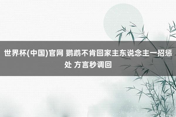世界杯(中国)官网 鹦鹉不肯回家主东说念主一招惩处 方言秒调回