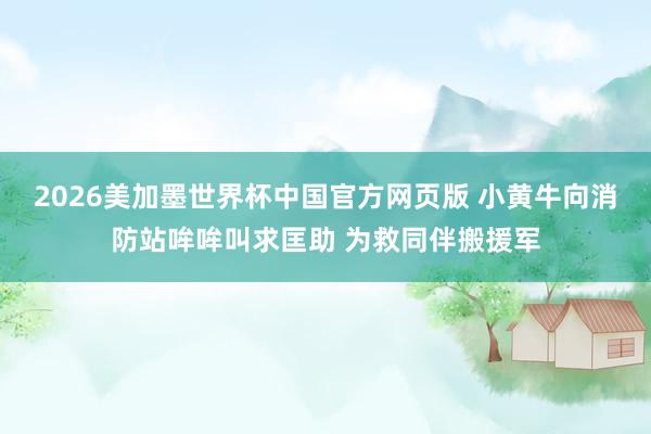 2026美加墨世界杯中国官方网页版 小黄牛向消防站哞哞叫求匡助 为救同伴搬援军