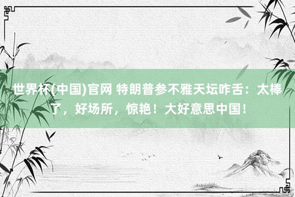 世界杯(中国)官网 特朗普参不雅天坛咋舌：太棒了，好场所，惊艳！大好意思中国！