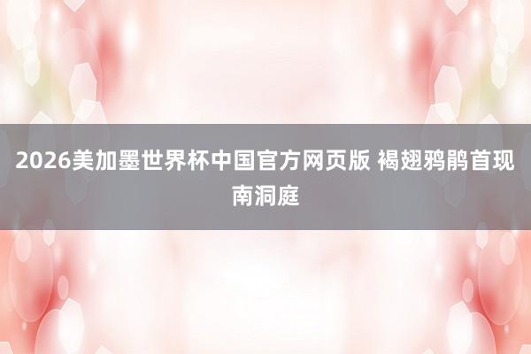 2026美加墨世界杯中国官方网页版 褐翅鸦鹃首现南洞庭