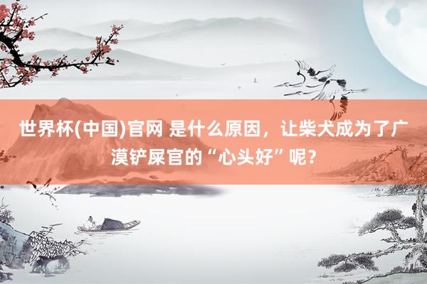 世界杯(中国)官网 是什么原因，让柴犬成为了广漠铲屎官的“心头好”呢？