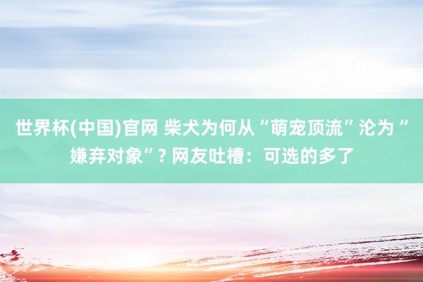 世界杯(中国)官网 柴犬为何从“萌宠顶流”沦为“嫌弃对象”? 网友吐槽：可选的多了