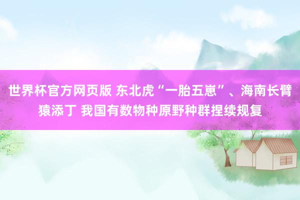 世界杯官方网页版 东北虎“一胎五崽”、海南长臂猿添丁 我国有数物种原野种群捏续规复