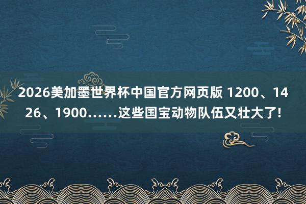 2026美加墨世界杯中国官方网页版 1200、1426、1900……这些国宝动物队伍又壮大了!