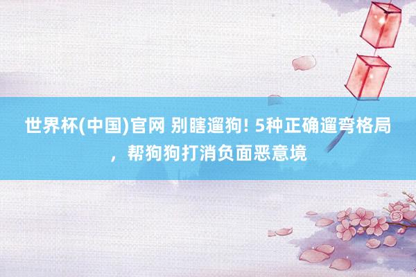 世界杯(中国)官网 别瞎遛狗! 5种正确遛弯格局，帮狗狗打消负面恶意境