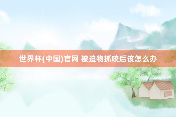 世界杯(中国)官网 被迫物抓咬后该怎么办
