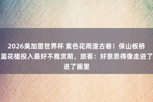 2026美加墨世界杯 紫色花雨漫古巷！保山板桥古镇蓝花楹投入最好不雅赏期，旅客：好意思得像走进了画里