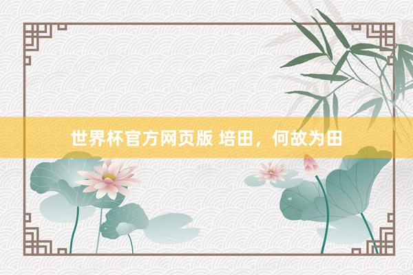 世界杯官方网页版 培田，何故为田