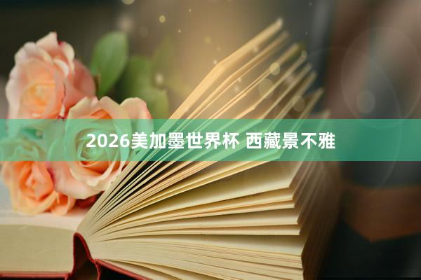 2026美加墨世界杯 西藏景不雅