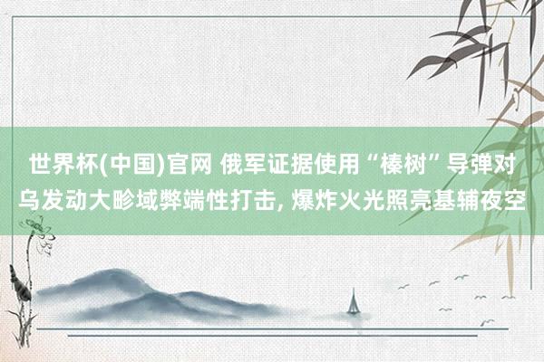 世界杯(中国)官网 俄军证据使用“榛树”导弹对乌发动大畛域弊端性打击， 爆炸火光照亮基辅夜空