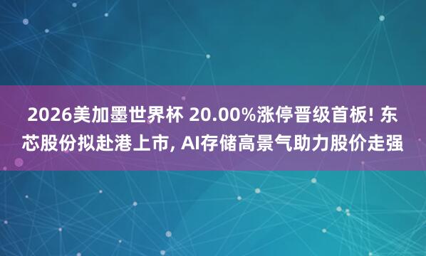 2026美加墨世界杯 20.00%涨停晋级首板! 东芯股份拟赴港上市， AI存储高景气助力股价走强