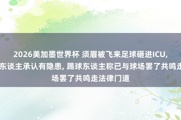 2026美加墨世界杯 须眉被飞来足球砸进ICU， 球场精采东谈主承认有隐患， 踢球东谈主称已与球场罢了共鸣走法律门道