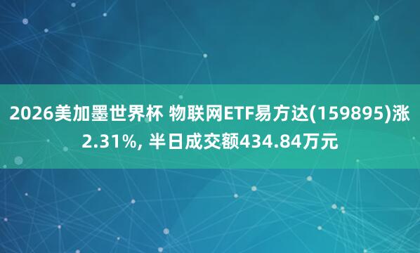 2026美加墨世界杯 物联网ETF易方达(159895)涨2.31%， 半日成交额434.84万元