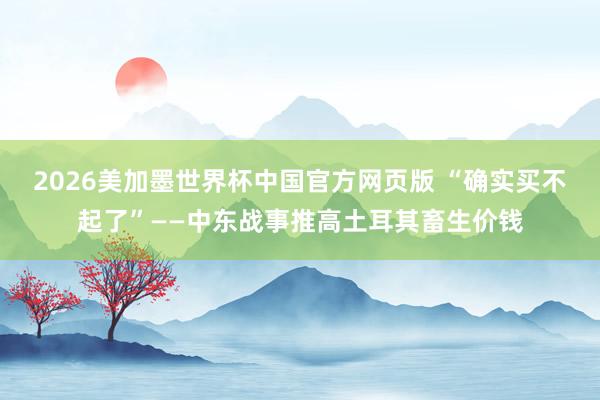 2026美加墨世界杯中国官方网页版 “确实买不起了”——中东战事推高土耳其畜生价钱