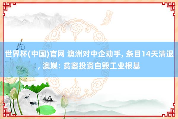 世界杯(中国)官网 澳洲对中企动手， 条目14天清退， 澳媒: 贫窭投资自毁工业根基