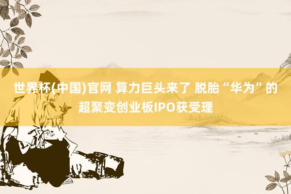 世界杯(中国)官网 算力巨头来了 脱胎“华为”的超聚变创业板IPO获受理