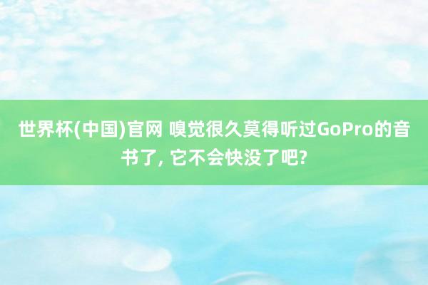 世界杯(中国)官网 嗅觉很久莫得听过GoPro的音书了， 它不会快没了吧?
