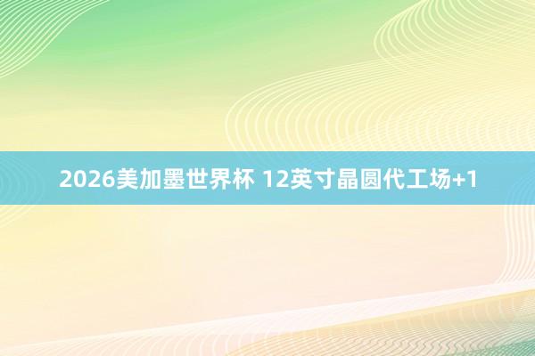 2026美加墨世界杯 12英寸晶圆代工场+1