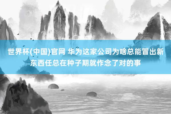 世界杯(中国)官网 华为这家公司为啥总能冒出新东西任总在种子期就作念了对的事
