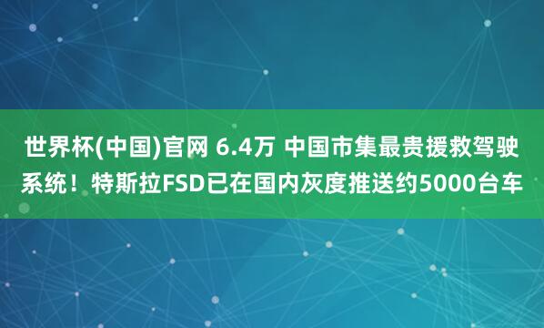 世界杯(中国)官网 6.4万 中国市集最贵援救驾驶系统！特斯拉FSD已在国内灰度推送约5000台车