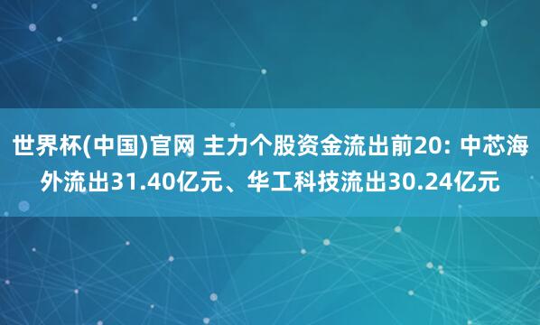 世界杯(中国)官网 主力个股资金流出前20: 中芯海外流出31.40亿元、华工科技流出30.24亿元