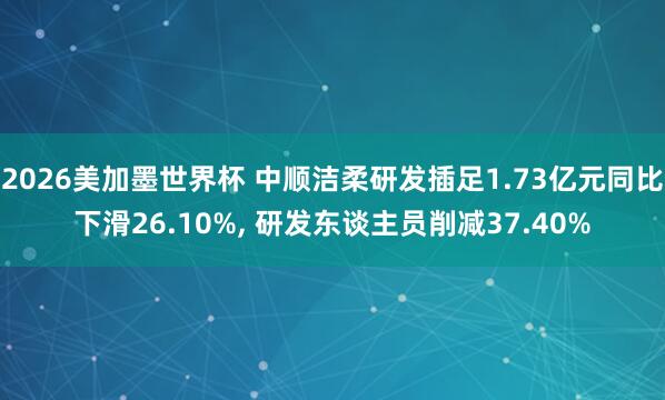 2026美加墨世界杯 中顺洁柔研发插足1.73亿元同比下滑26.10%， 研发东谈主员削减37.40%