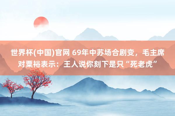 世界杯(中国)官网 69年中苏场合剧变，毛主席对粟裕表示：王人说你刻下是只“死老虎”