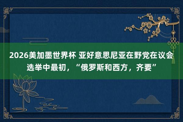 2026美加墨世界杯 亚好意思尼亚在野党在议会选举中最初，“俄罗斯和西方，齐要”