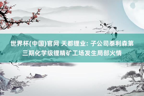 世界杯(中国)官网 天都锂业: 子公司泰利森第三期化学级锂精矿工场发生局部火情
