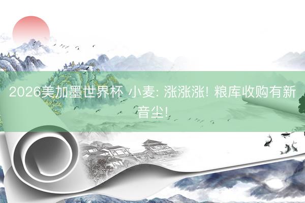 2026美加墨世界杯 小麦: 涨涨涨! 粮库收购有新音尘!