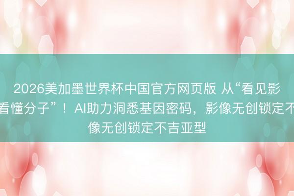 2026美加墨世界杯中国官方网页版 从“看见影像”到“看懂分子” !AI助力洞悉基因密码,影像无创锁定不吉亚型